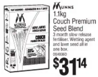Couch Premium Seed Blend