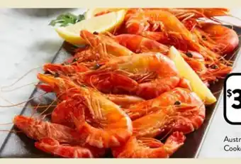 Foodworks Australian Extra Large Cooked Tiger Prawns offer
