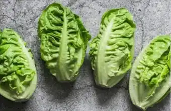 Foodworks Pre-Packed Baby Cos Lettuce Twin Pack offer