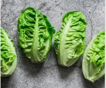 Foodworks Pre-Packed Baby Cos Lettuce Twin Pack offer