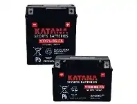 Repco Katana Motorcycle Batteries offer