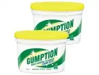 Foodworks Gumption Paste Multi Purpose Cleanser 500g offer