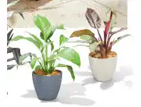ALDI Mini Stonelite Pot 200mm offer