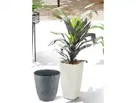 ALDI Garden Stonelite Pot Assortment offer