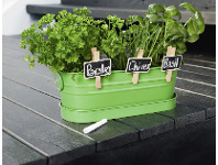 ALDI Windowsill Garden Kit offer