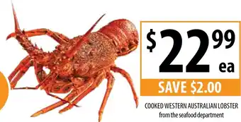 Supabarn COOKED WESTERN AUSTRALIAN LOBSTER offer