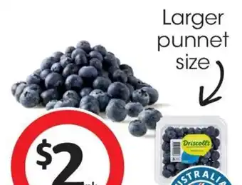 Australian Blueberries 170g Punnet