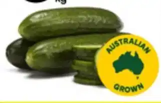 Australian Lebanese Cucumbers