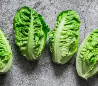 Foodworks Pre-Packed Baby Cos Lettuce Twin Pack offer