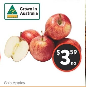 Foodworks Gala Apples offer
