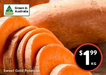 Foodworks Sweet Gold Potatoes offer