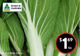 Foodworks Baby Bok Choy offer