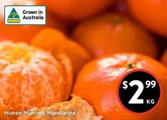 Foodworks Honey Murcott Mandarins offer