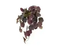 LivingStyles Glamorous Fusion Potted Artificial Peperomia Caperata Plant, 44cm, Burgundy offer