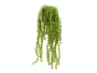 LivingStyles Glamorous Fusion Potted Artificial Clubmoss Vine, 52cm offer