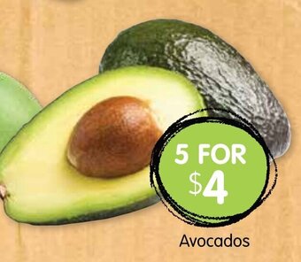 Spudshed Avocados offer