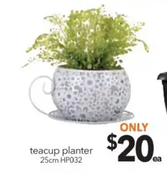 Cheap as Chips Teacup Planter 25cm - HP032 offer