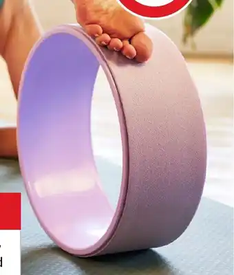 5 Seasons Yoga Wheel