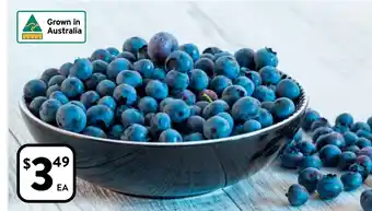 Foodworks Blueberries 125g Punnet offer