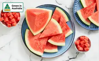Sweet Seedless Watermelon