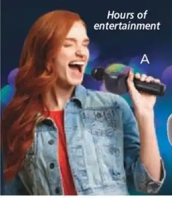 A. Wireless Karaoke Microphone