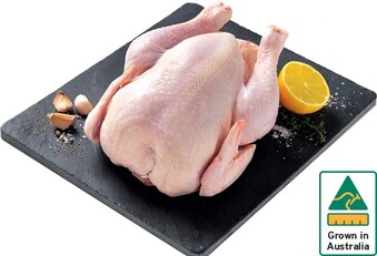 Australian Fresh Whole Chicken