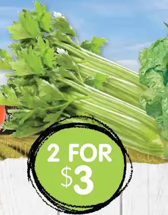 Spudshed Celery offer