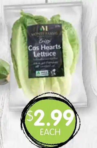 Spudshed Cos Lettuce Twin Pack offer