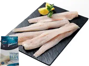 Global seafoods southern blue whiting fillets 1kg
