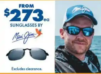 BCF SUNGLASSES offer