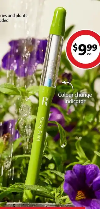 Coles Rocky Point Plant Water Meter offer