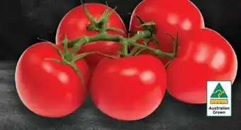 Drakes Australian Truss Tomatoes offer