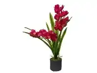 LivingStyles Denise Artificial Cymbidium Orchid in Pot, 70cm, Fuchsia Flower offer
