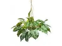 LivingStyles Glamorous Fusion Artificial Caladium in Hanging Pot, 60cm, Green Vein offer