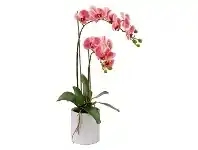 LivingStyles Kacie Artificial Phalaenopsis Orchid in Pot, 60cm, Pink Flower offer