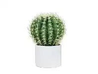 LivingStyles Glamorous Fusion Potted Artificial Parodia Cactus offer