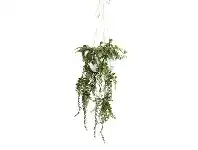 LivingStyles Glamorous Fusion Artificial Barker Fern in Hanging Pot, 87cm offer