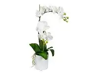 LivingStyles Kacie Artificial Phalaenopsis Orchid in Pot, 60cm, White Flower offer