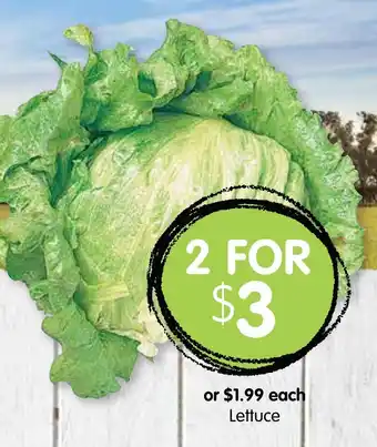 Spudshed Lettuce offer