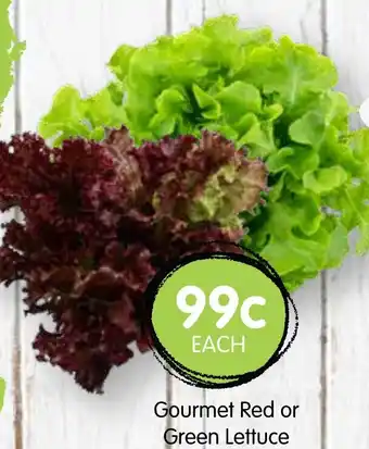 Spudshed Gourmet Red or Green Lettuce offer