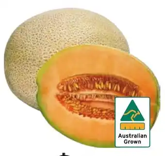 Australian Rockmelon