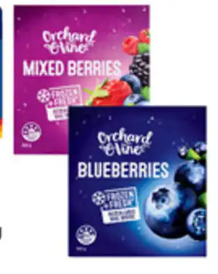 ALDI Orchard & Vine Mix Berries or Blueberries offer