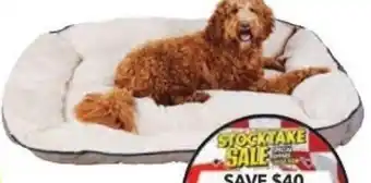 Cheap as Chips Marvin mega dog bed offer
