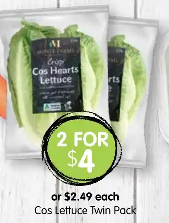 Cos Lettuce Twin Pack