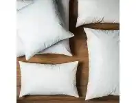 LivingStyles Orozco Duck Feather Cushion Insert, 60x40cm offer