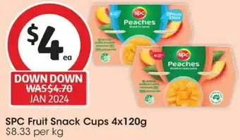 SPC Fruit Snack Cups 4x120g