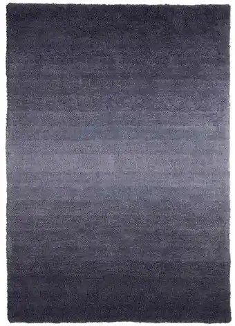 Spotlight 40% off Ombre Shaggy Floor Rug 160 x 230cm offer