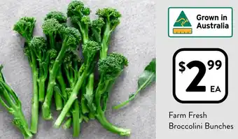 Foodworks Farm Fresh Broccolini Bunches offer