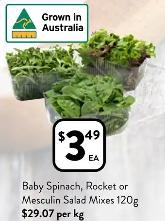 Foodworks Baby Spinach, Rocket or Mesculin Salad Mixes 120g offer