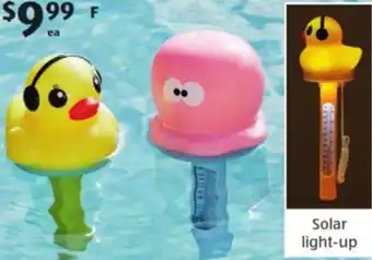 F Floating Pool Thermometer